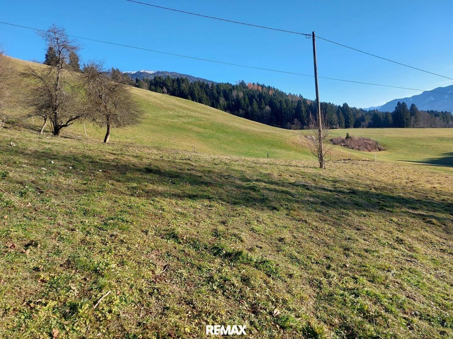 Bauland mit Entwicklungspotenzial in ruhiger Lage