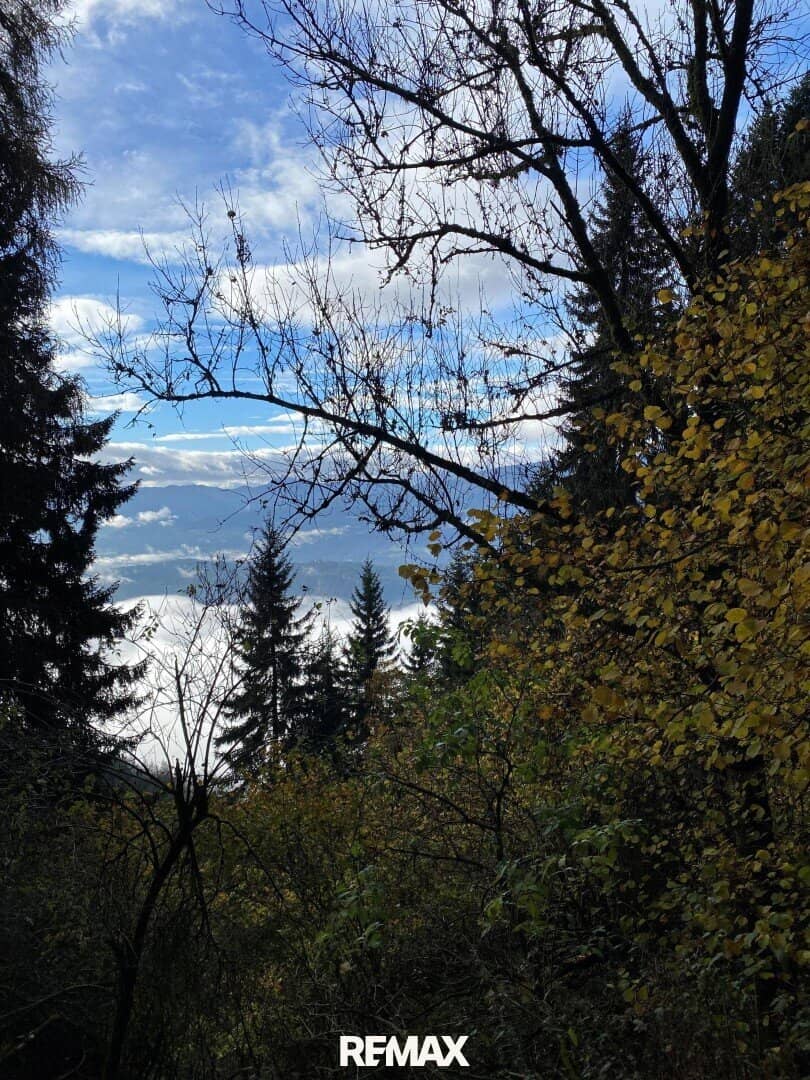 Waldgrundstück mit Seeblick in Millstatt