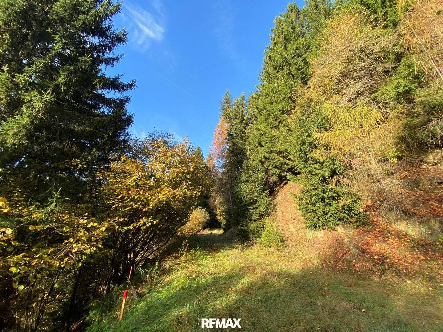Waldgrundstück mit Seeblick in Millstatt