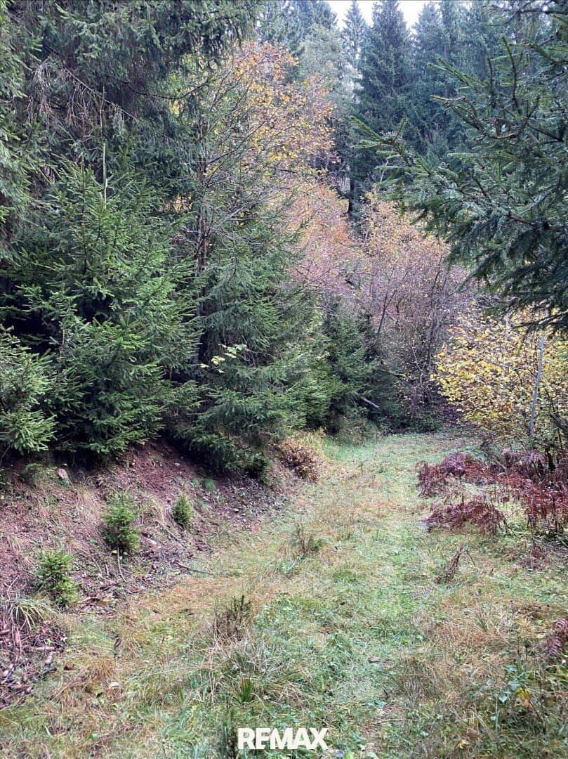 Waldgrundstück mit Seeblick in Millstatt