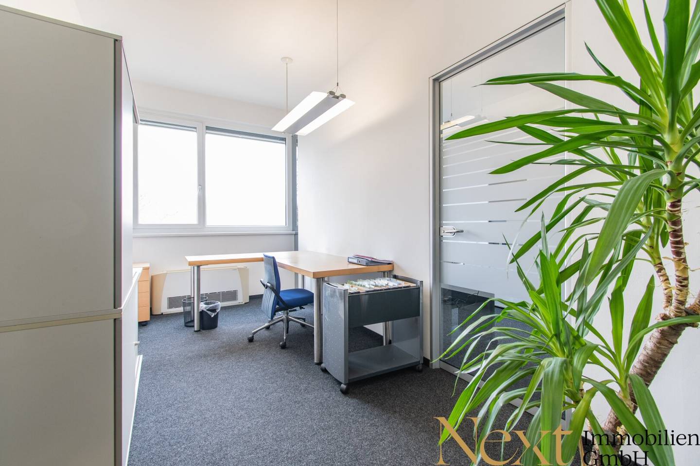 Spacious office space with a magnificent Danube view, roof terrace and ESG certification for rent in Linz