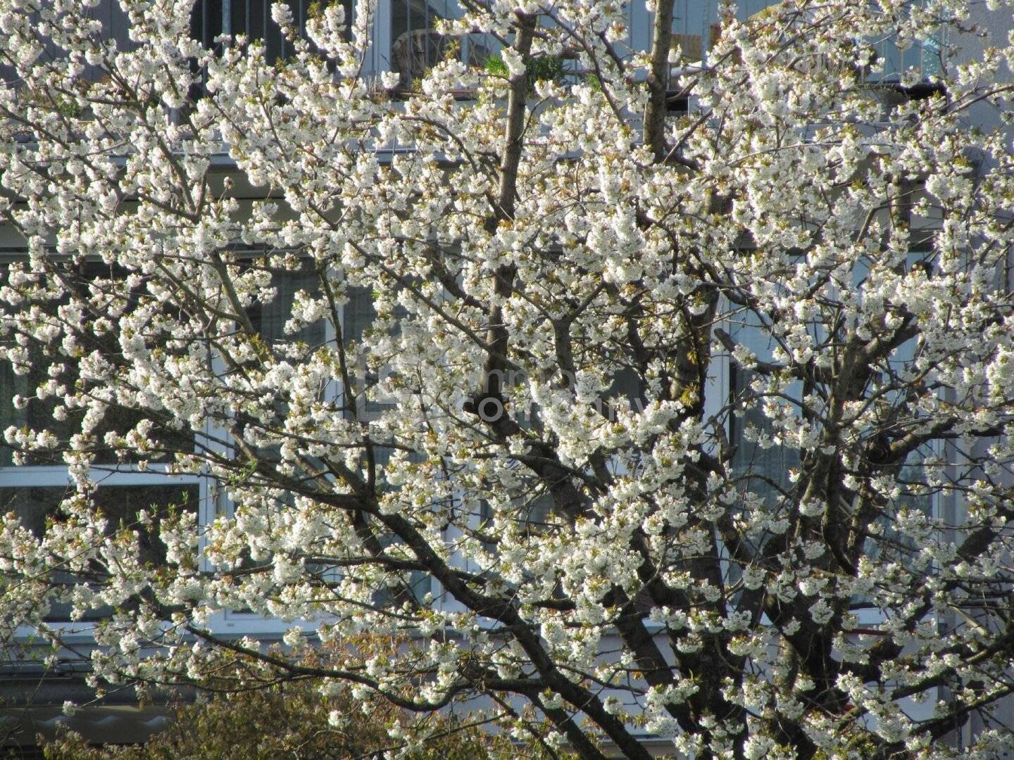 Wohnung Sonniger Balkon mit Blick über die Stadt