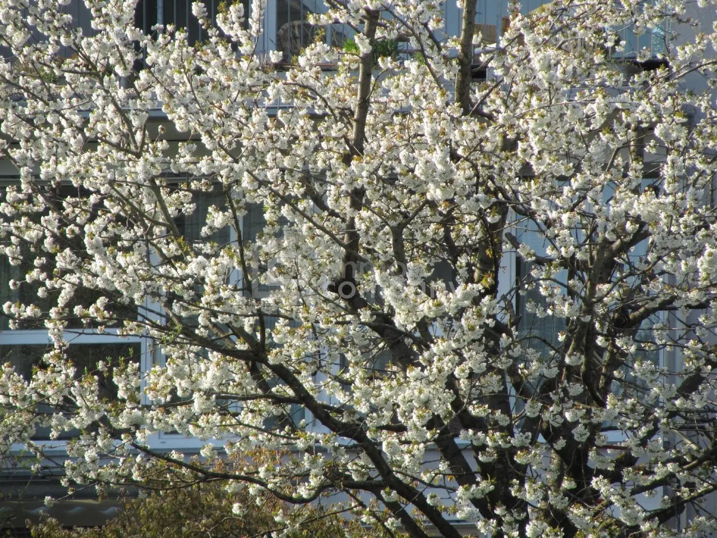 Wohnung Sonniger Balkon mit Blick über die Stadt