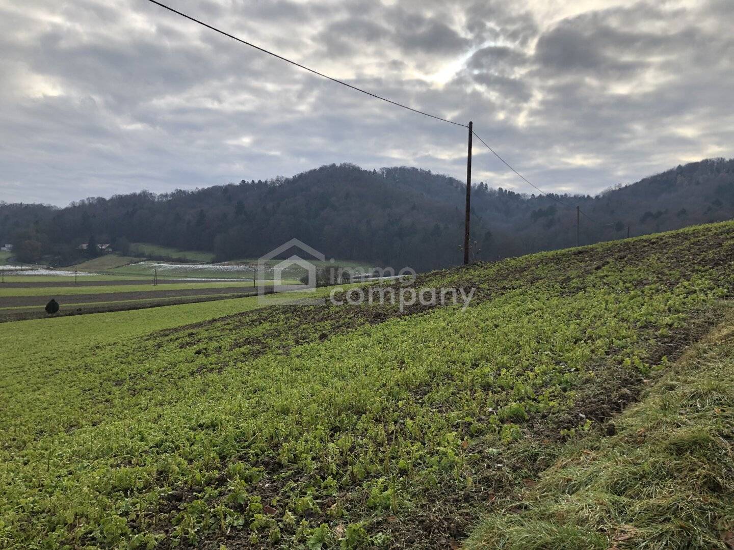 Grundstück mit Bauland nahe Jennersdorf – ca. 11.154 m², 35 €/m²
