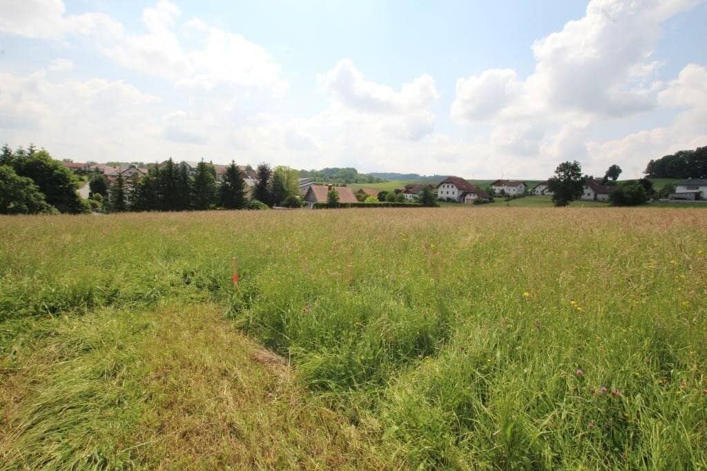 1227 m² Grundstück in einer ruhigen Siedlung in 4760 Raab zu kaufen