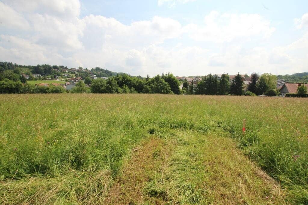 1018 m² Grundstück in einer ruhigen Siedlung in 4760 Raab zu kaufen!