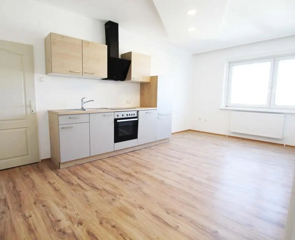 Renovated 3 room apartment in Wels ideal investment property near FH Campus Wels for purchase