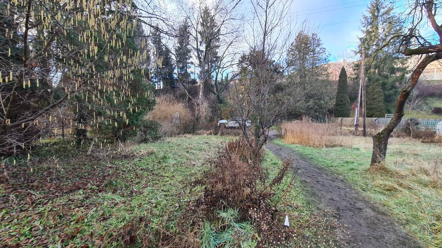 Neubauprojekt – Geplantes 5-geschossiges Wohnprojekt mit 19 Wohneinheiten und 12 KFZ-Tiefgaragen-Abstellplätze in Grünruhelage in Gösting