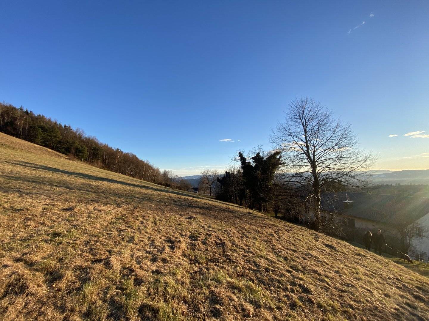 Exklusives Projekt mit touristischer Nutzung, einzigartiger und fantastischen Aussichtslage am Fuße des Demmerkogels in Höch
