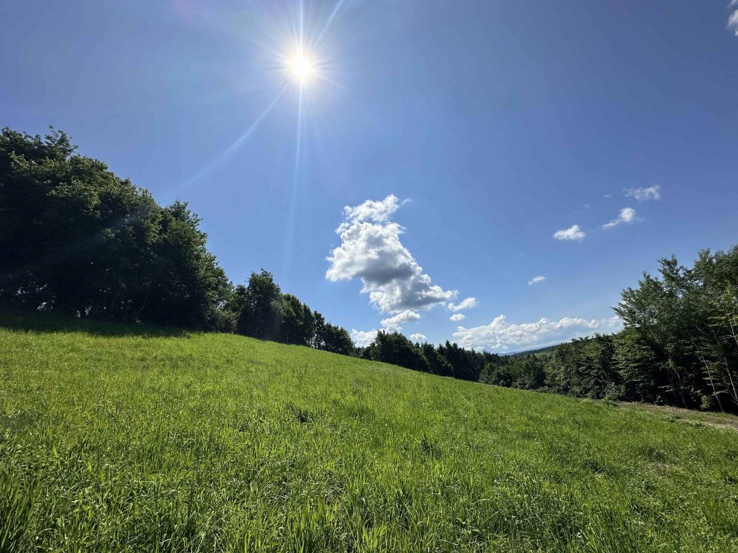 Sonniges Grundstück am Kaiserberg mit atemberaubendem Weitblick über Lannach
