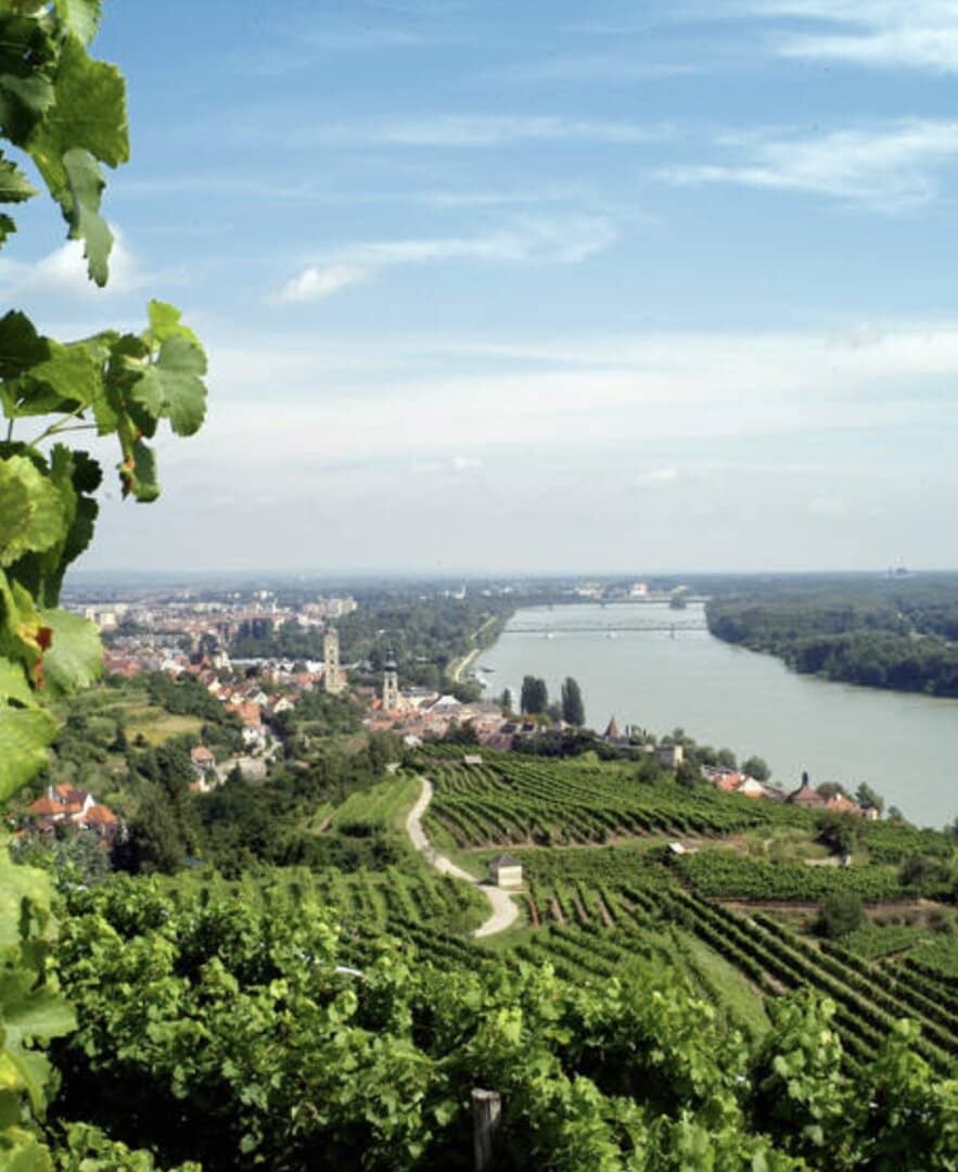 Krems an der Donau: großes Baugrundstück in schöner Lage für Bauträger/Investoren
