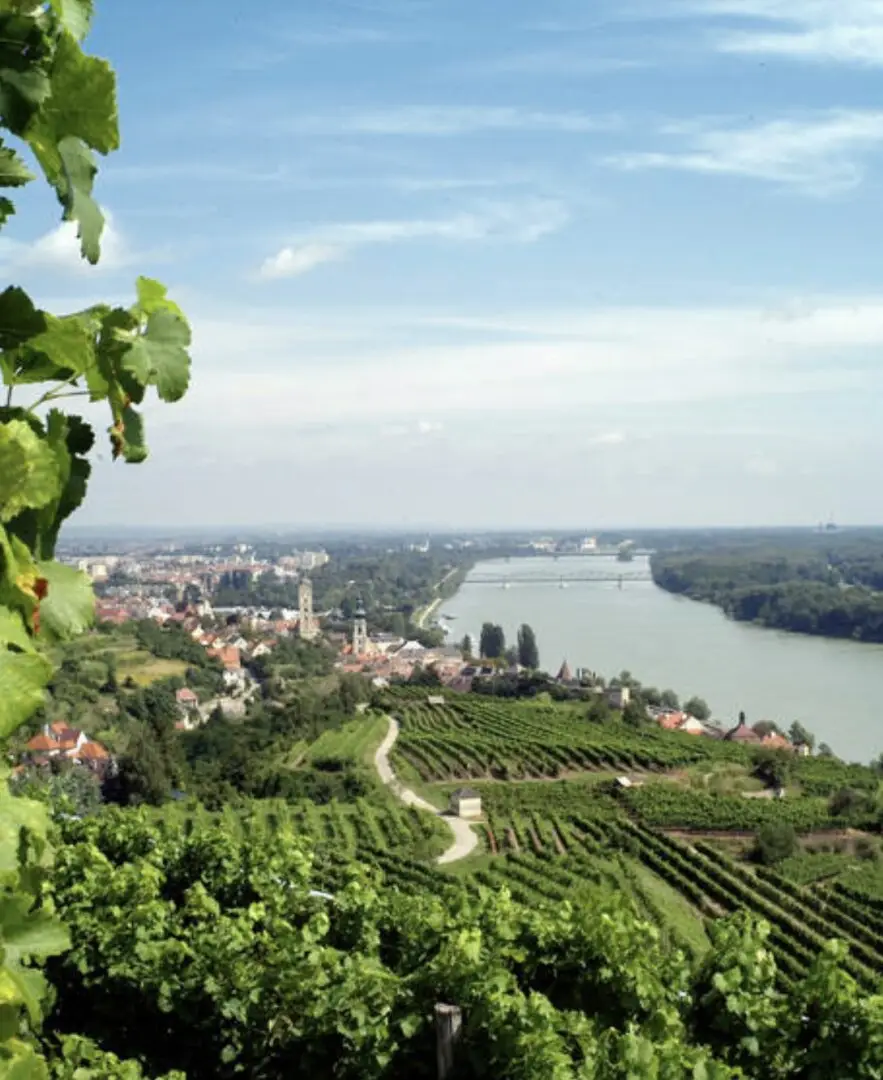 Krems an der Donau: großes Baugrundstück in schöner Lage für Bauträger/Investoren