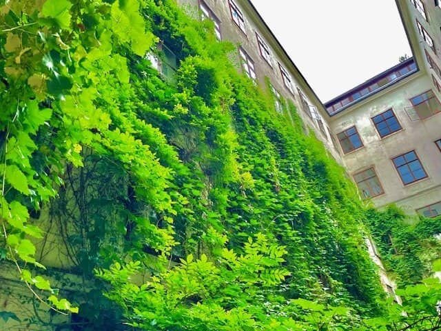 Living in Seventh Heaven Inner-city Condominium Elegant Classic Viennese Old Building Apartment with 2 Rooms in Top Location at SPITTELBERG through building