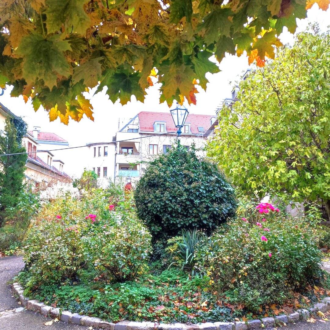 Topsaniert - Geschäftslokal/Praxis/Büro/Atelier mit Freifläche