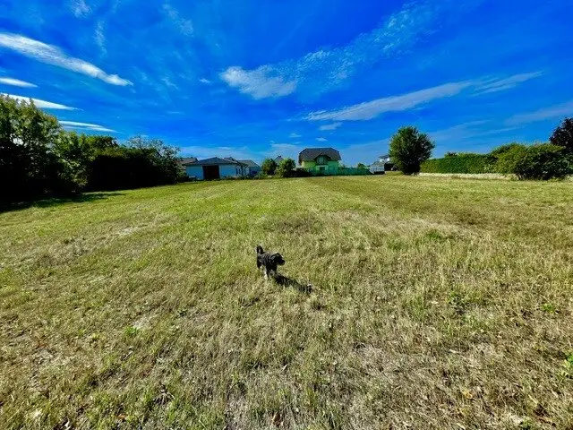GÄNSERNDORF-STRIPFING - 2.635 m² - BAUGRUNDSTÜCK mit Potenzial für 6 Wohneinheiten