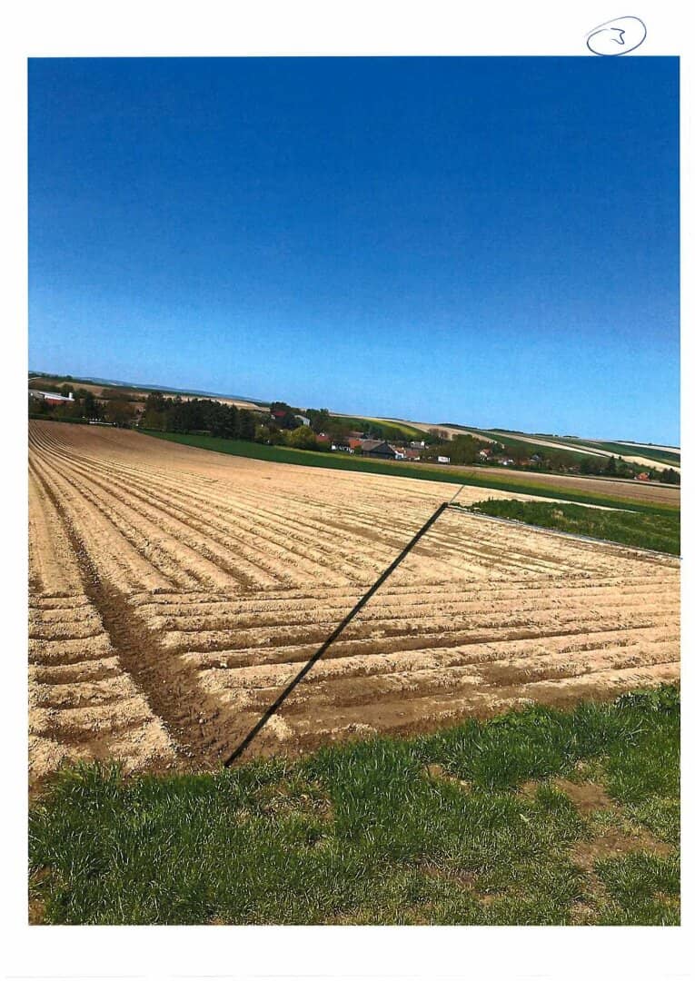 Field in Bruderndorf