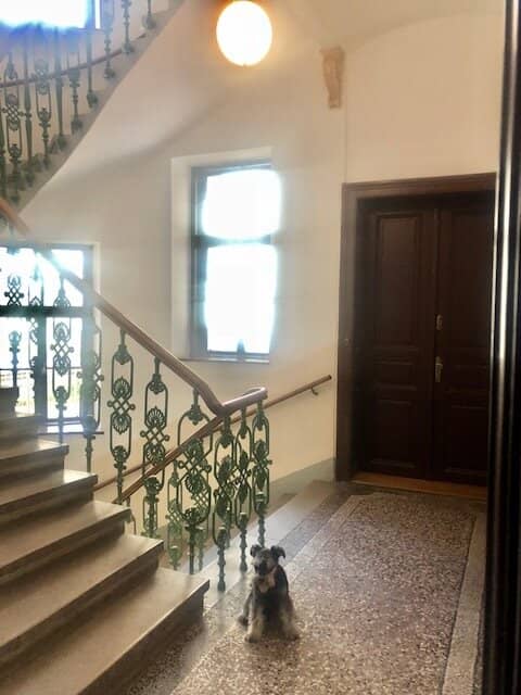 Magnificent classic Viennese Altbau office with 3 rooms, SONNWEND-VIERTEL near HAUPTBAHNHOF