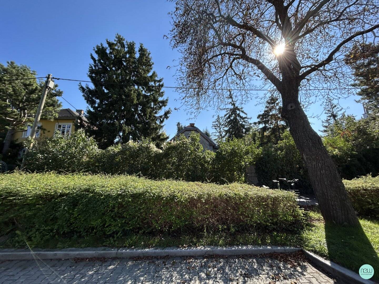 Building plot with existing structure, sale by tender