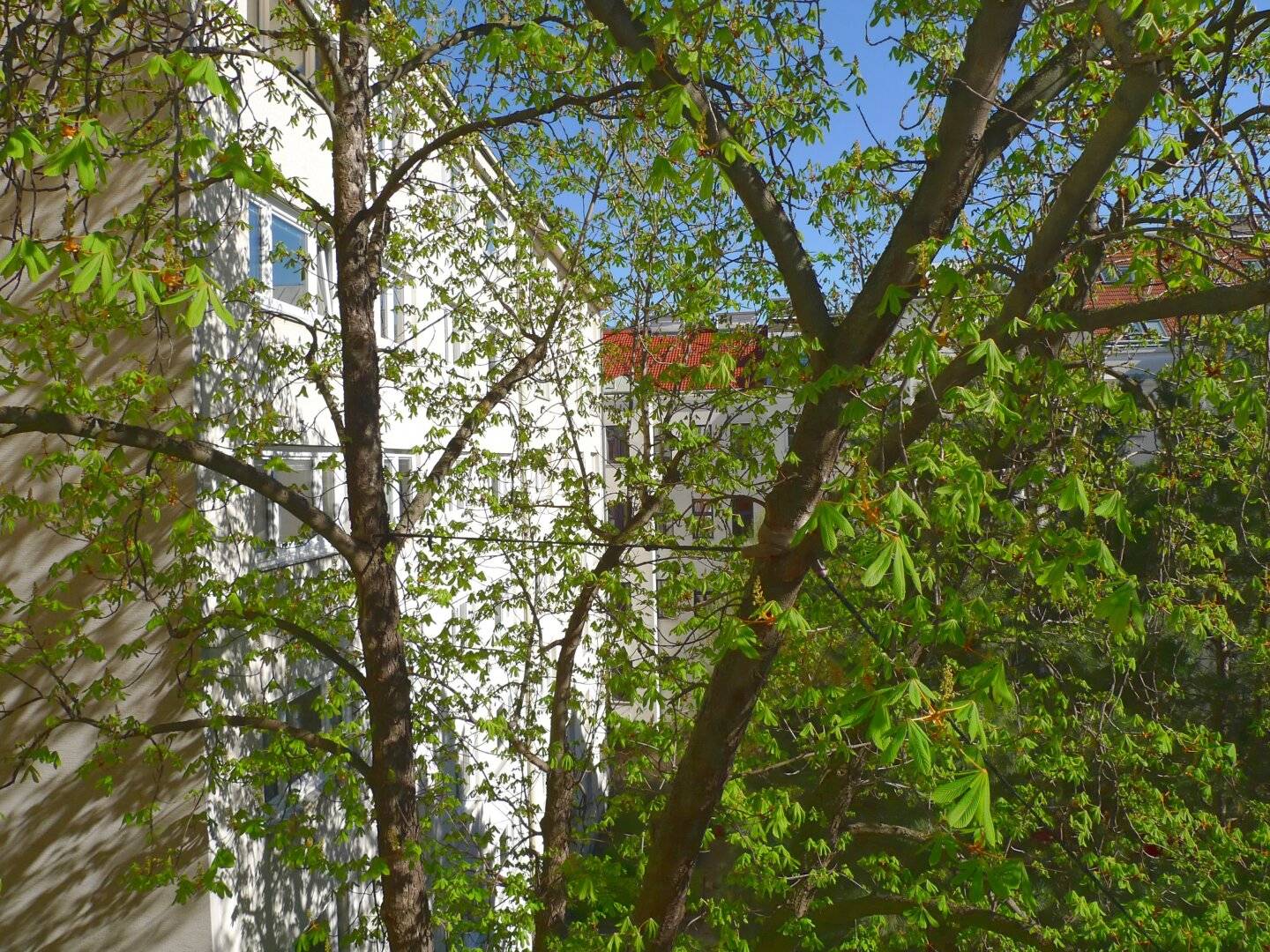 Attraktive Singlewohnung im 3. Bezirk mit Grünblick und guter Verkehrsanbindung