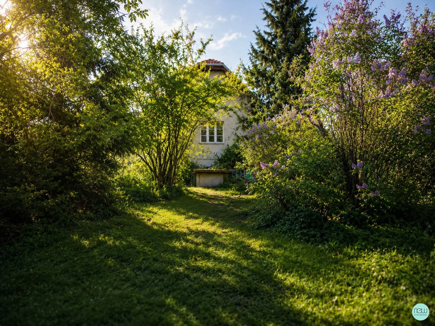 Immobilienbild 3