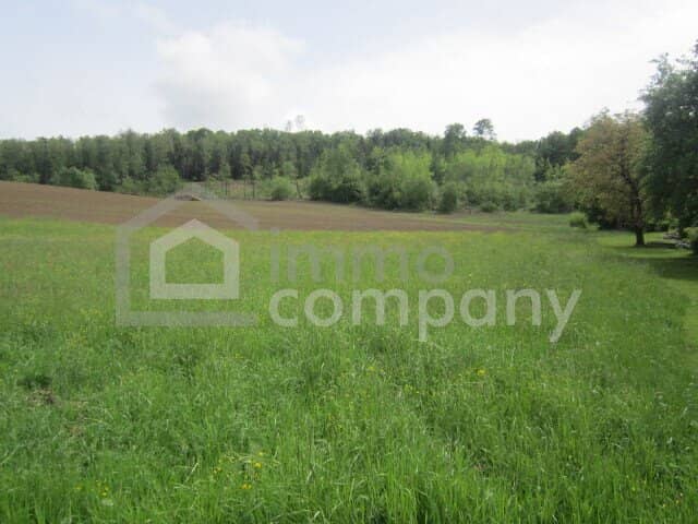 Schöne Baugründe am Ortsrand von Güssing – 812 m², 1.523 m² & 1.552 m²