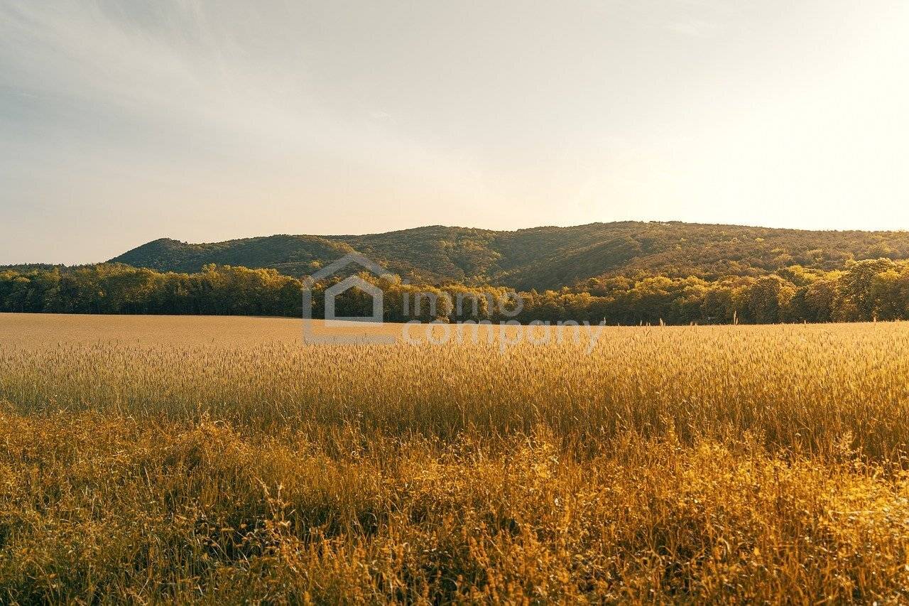 Baugrundstück *** Realisieren Sie Ihr Wohnbauprojekt *** Nähe Hainburg