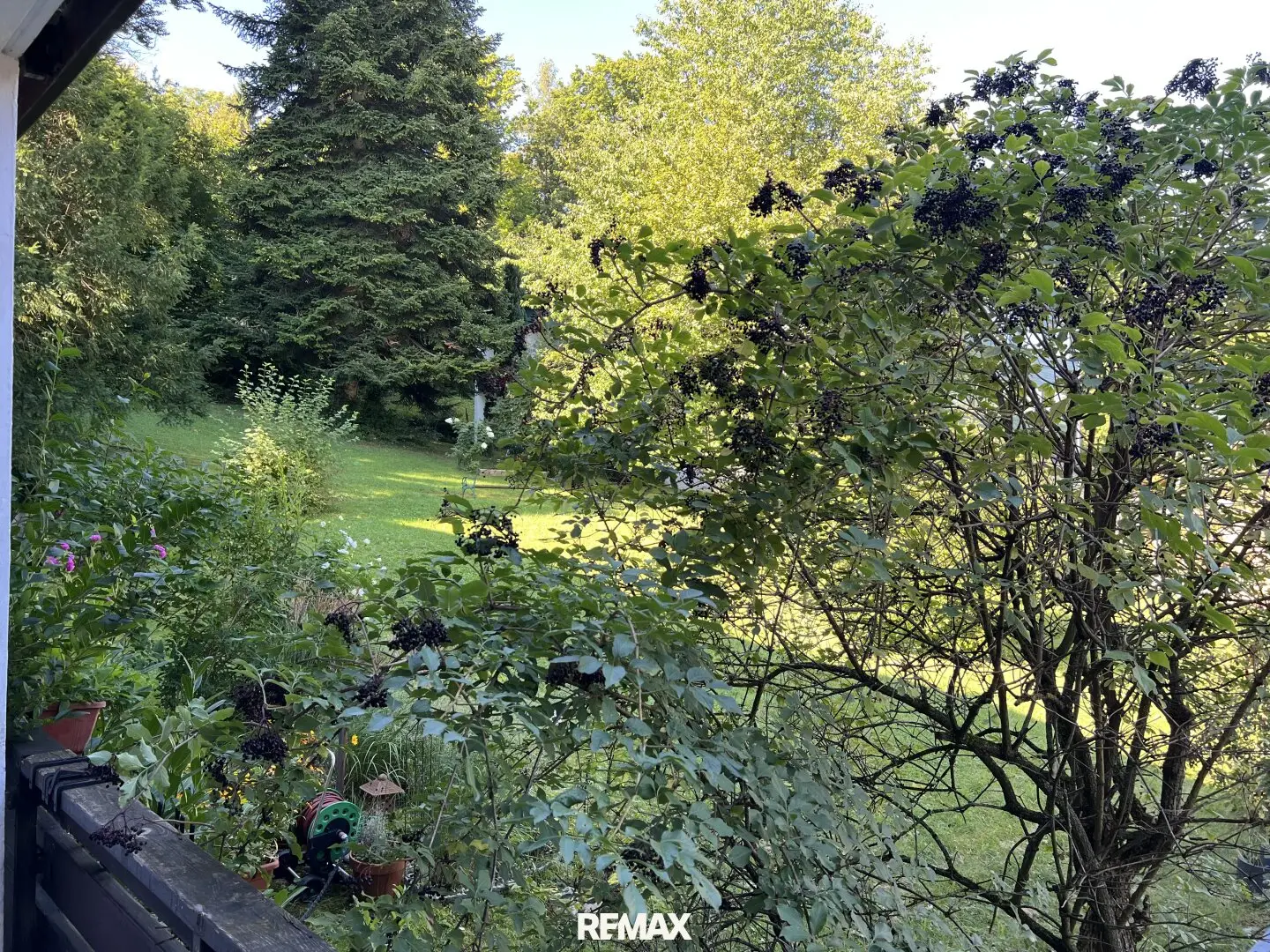 Charming holiday apartment in Reichenau an der Rax, ideal for investors and nature lovers