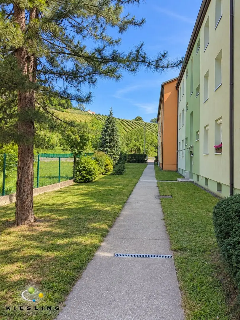 Generous 5-room apartment with two loggias and a green view on the top floor with flexible usage possibilities