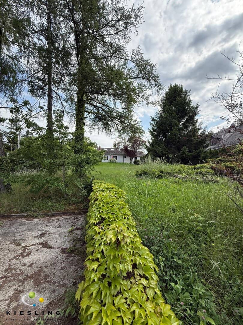 Großes Grundstück 1.686m² in Klosterneuburg  – Ihr Bauplatz in Top-Lage - auch Teilung möglich