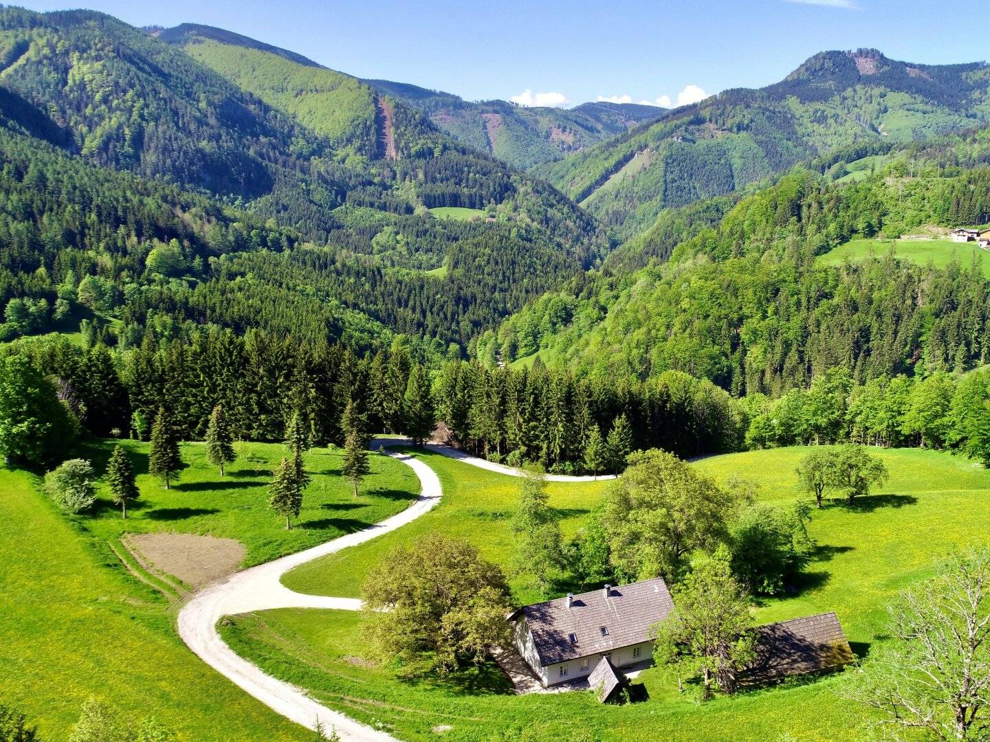 Holiday house in the forest Hideaway in the nature resort