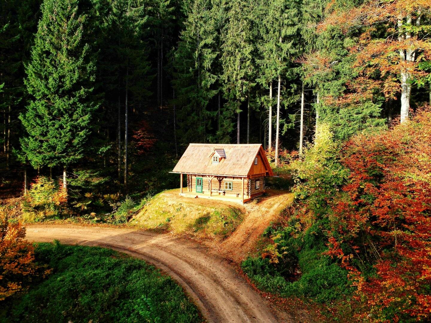 Forest hut in nature resort