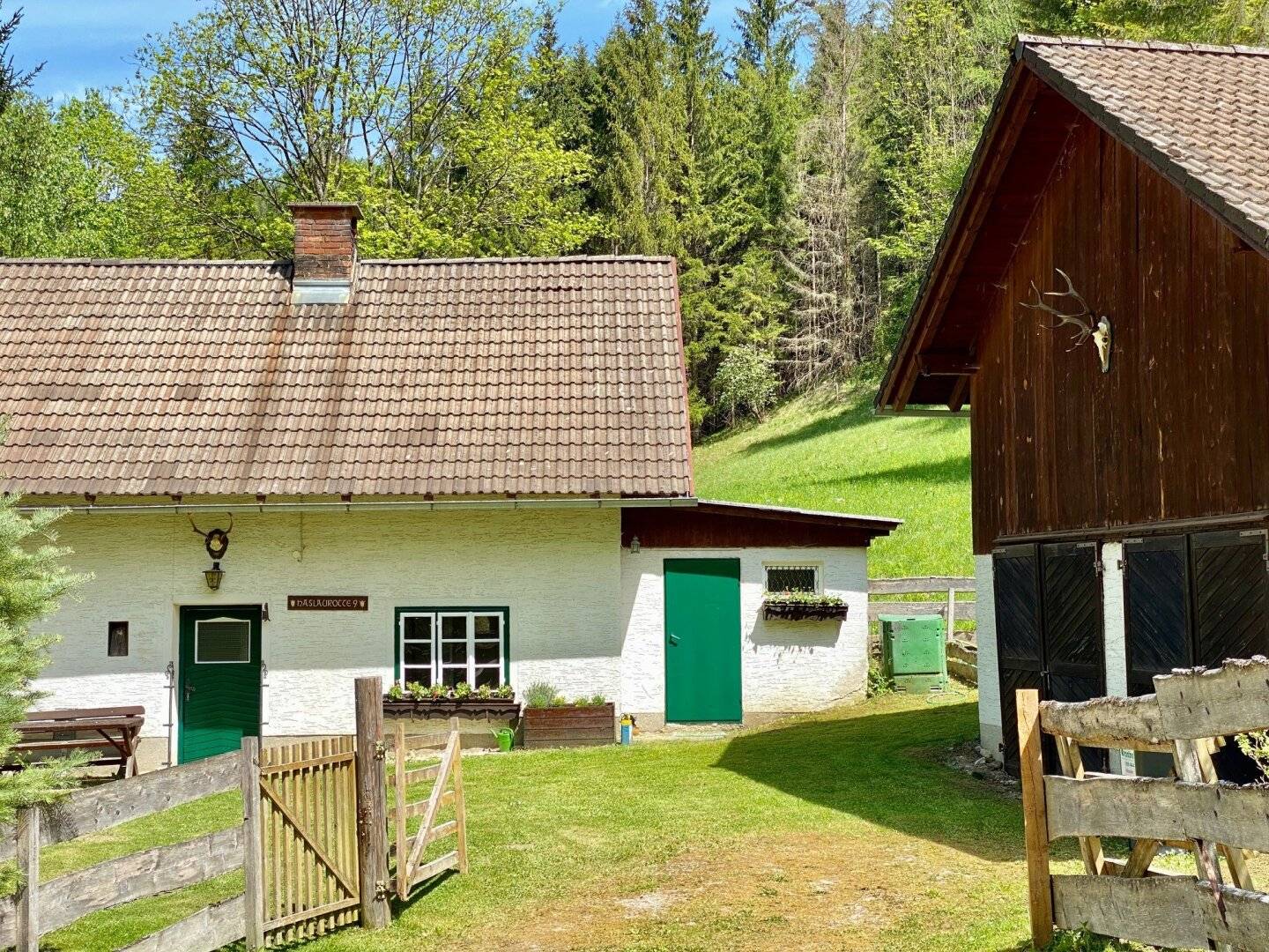Holiday house in the forest - Hideaway in the nature resort