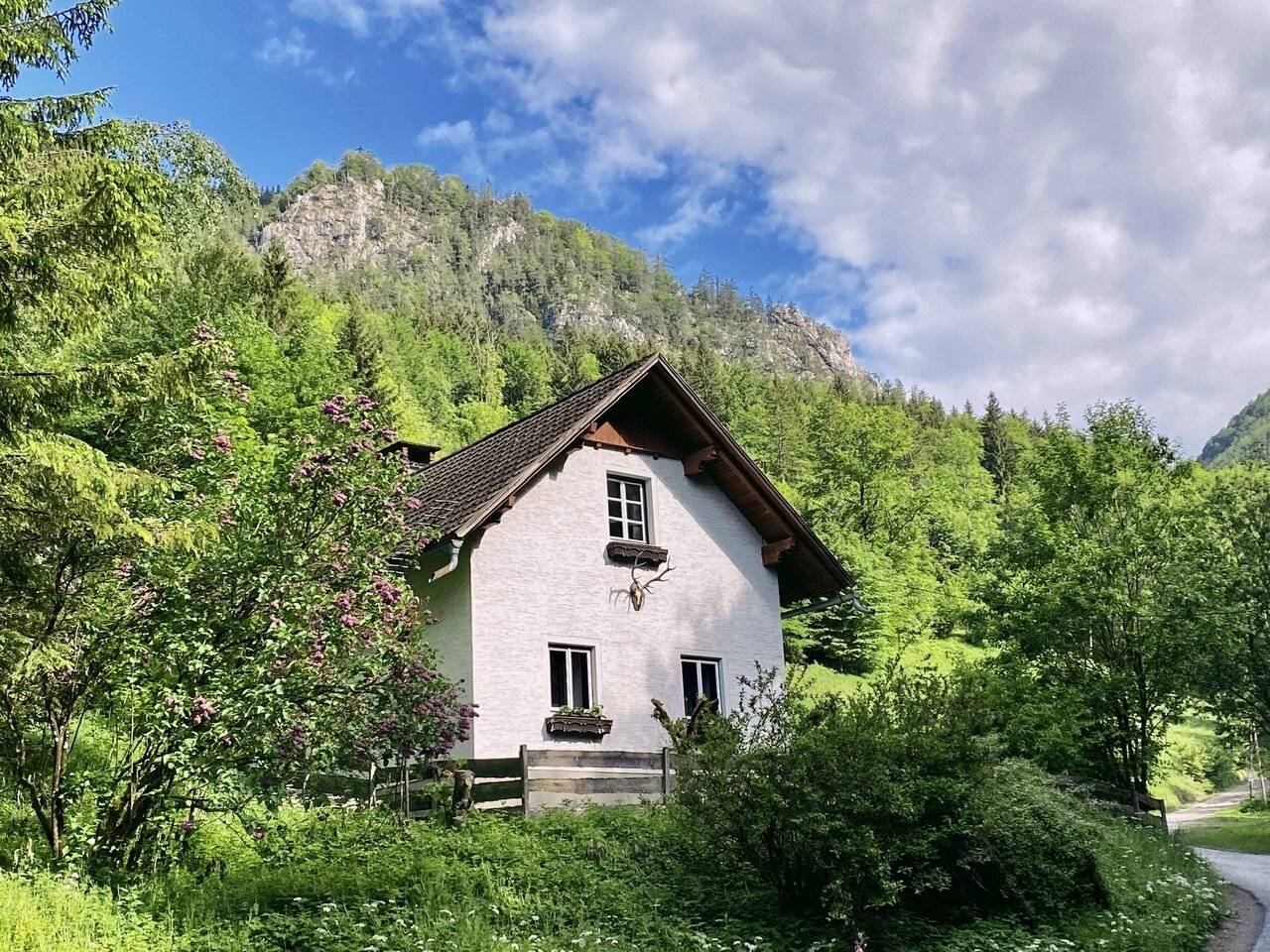 Holiday house in the forest - Hideaway in the nature resort