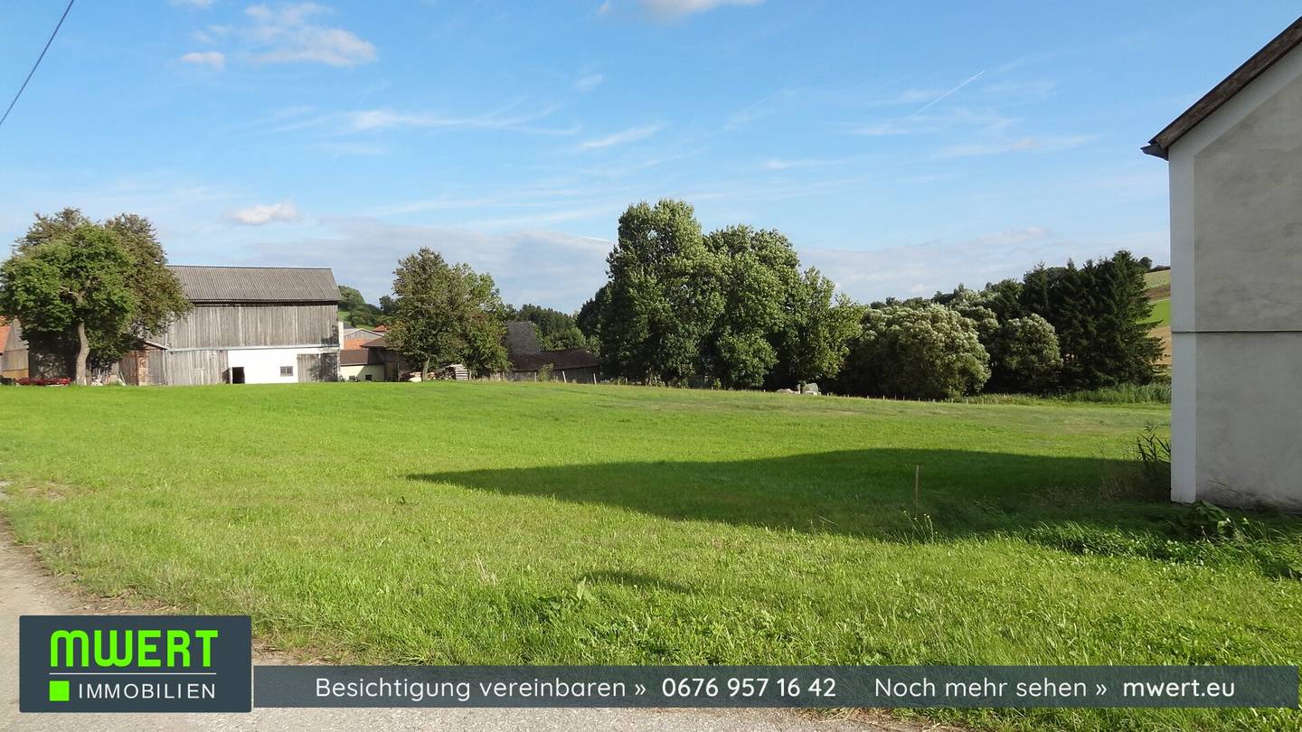 Vierkanthof mit Stadl in Dorfrandlange