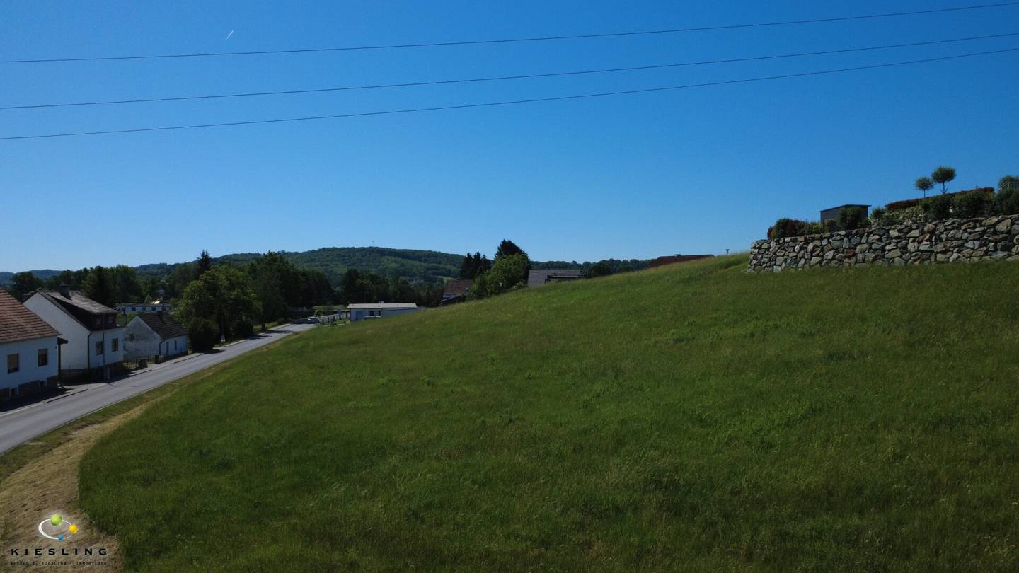 PROVISIONSREI: Wohntraum erfüllen! Sonniges Grundstück bei Güssing - Widmung Bauland Wohngebiet