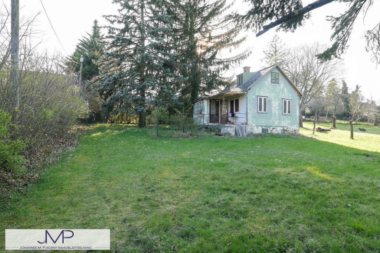 Affordable larger allotment garden plot in an absolutely quiet location, directly accessible by car