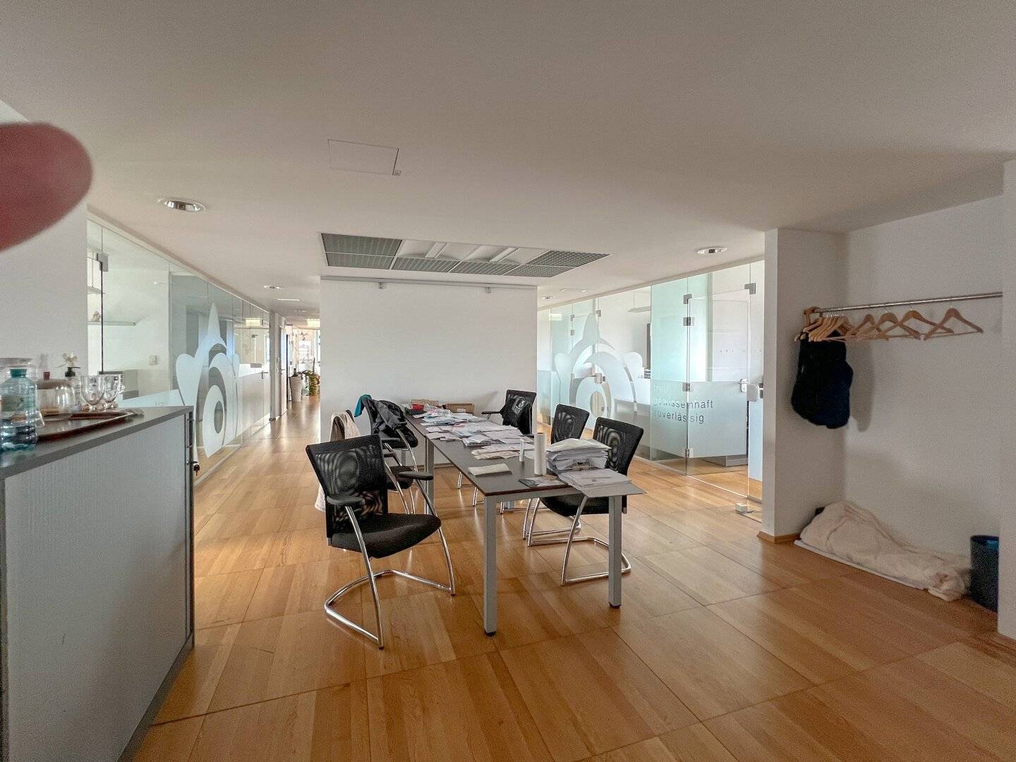 Very bright and friendly office with Vienna view