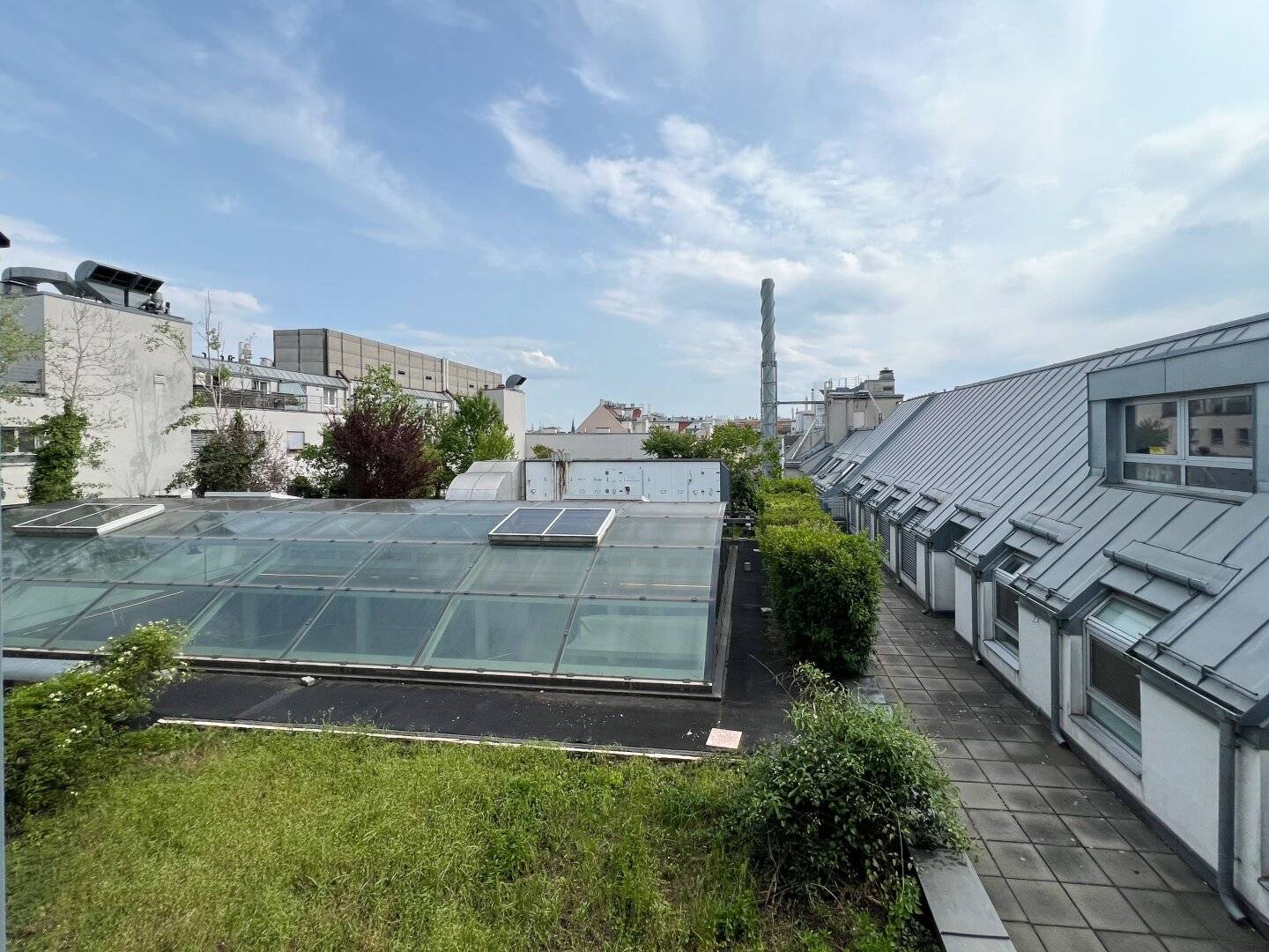 Very bright and friendly office with Vienna view
