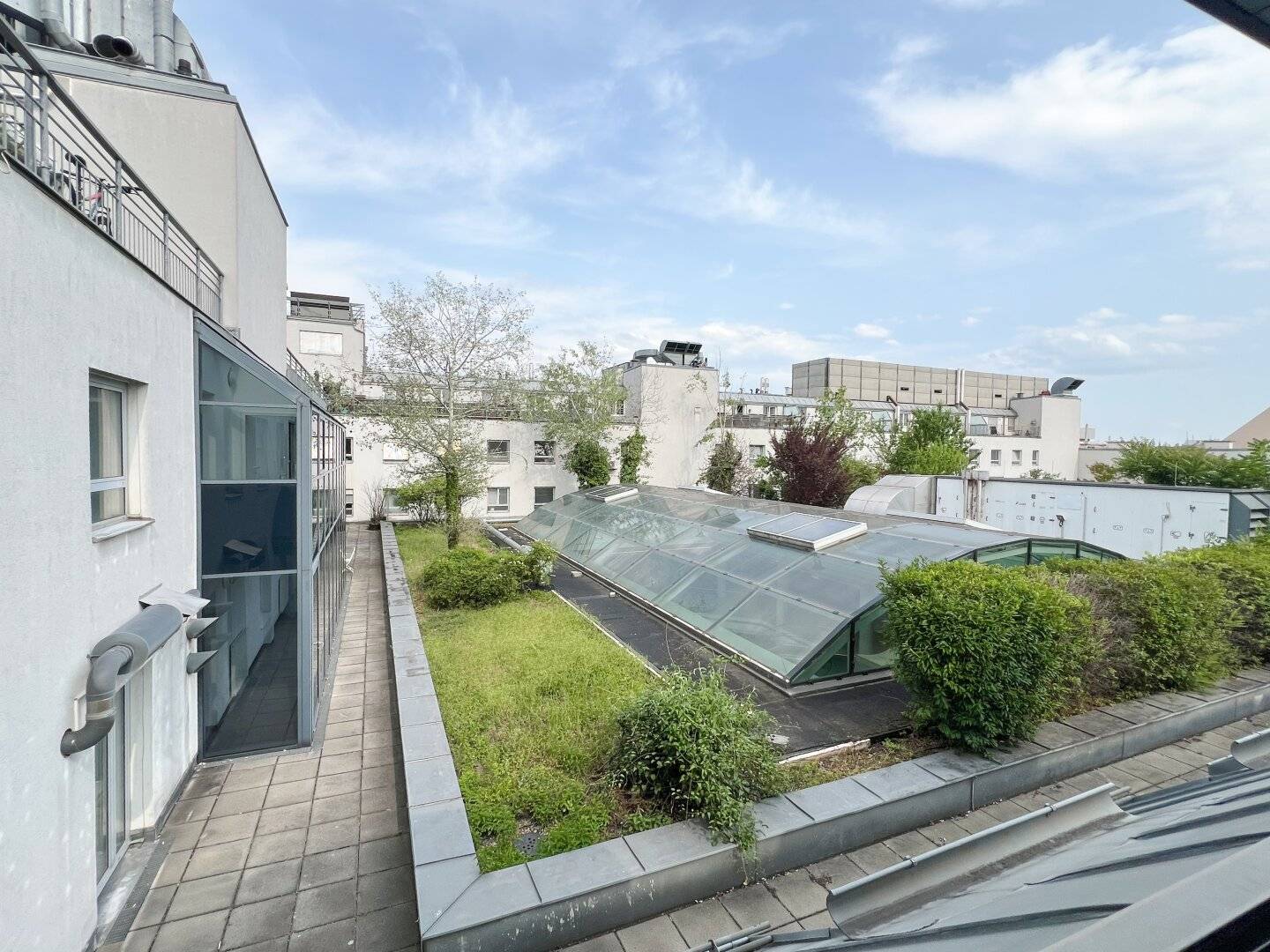 Very bright and friendly office with Vienna view