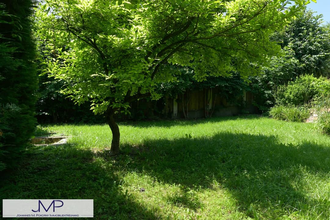 Immobilienbild 4