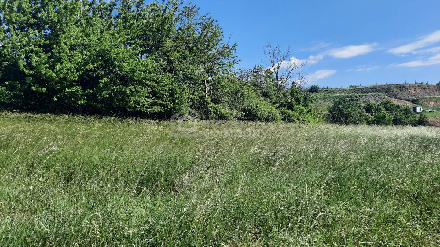 Großer Grund (4392 m²) in Thallern