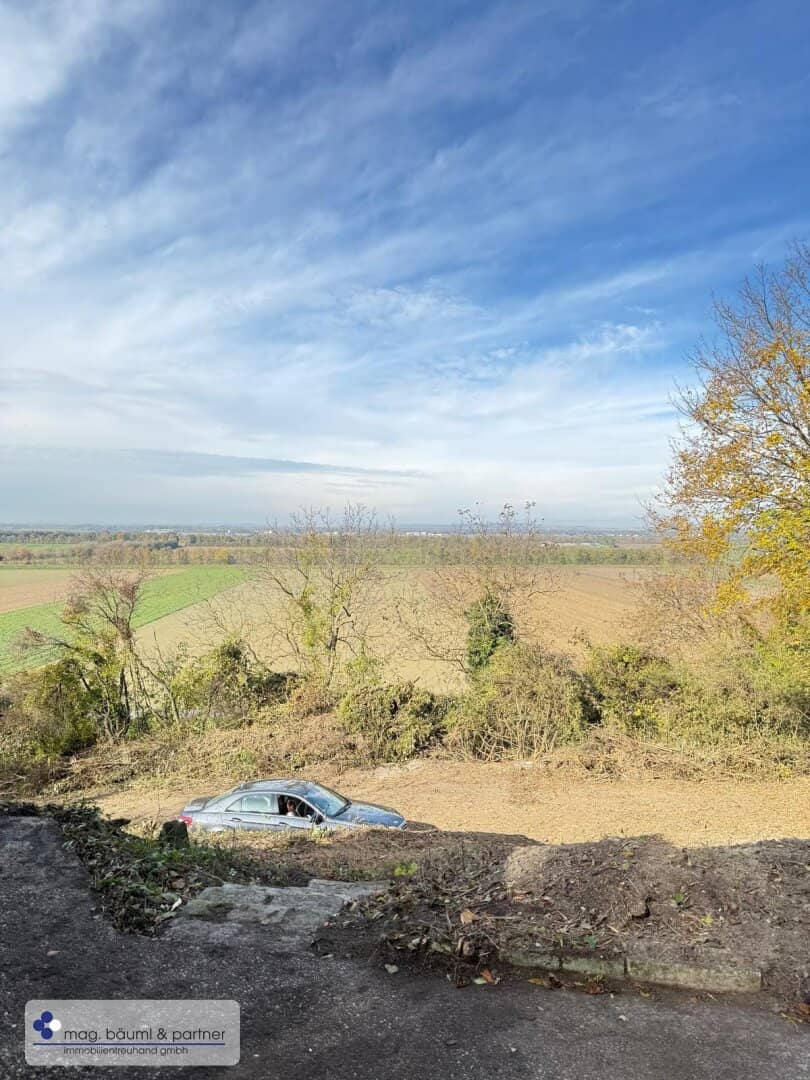 Bäume  und Wiese mit Zufahrt und  Parkmöglichkeit