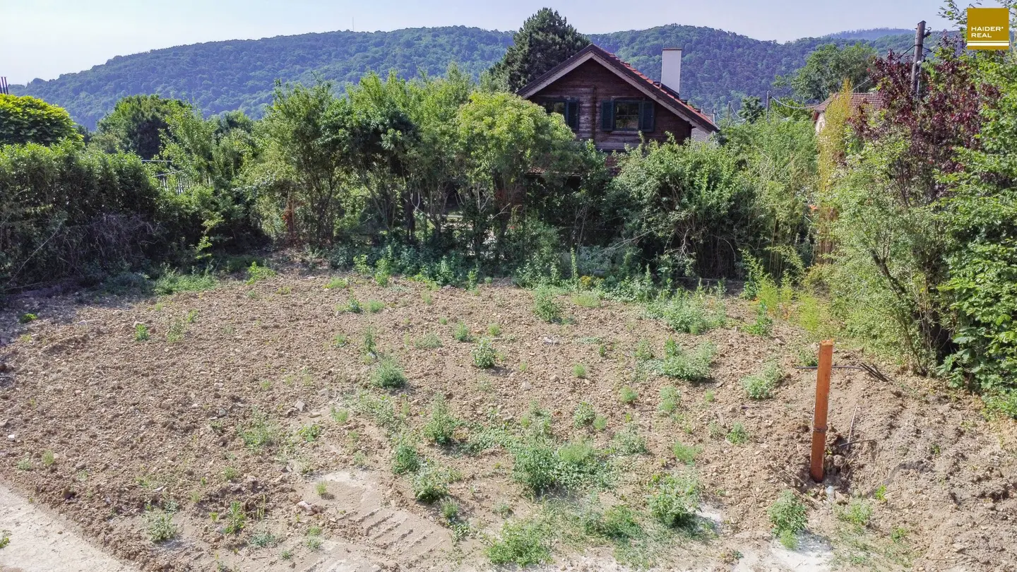 Perfectly sized for a fantastic family house with garden