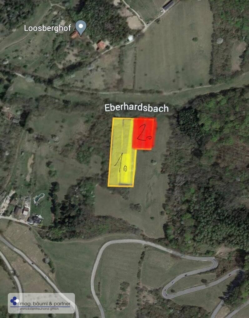 Verwilderter, mit alten  Sorten bestückter Obstgarten  im Moment als Wald gewidmet RODUNG  bewilligt