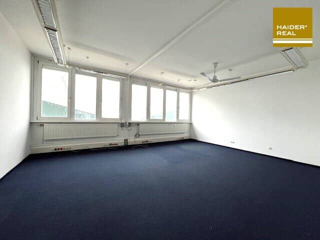Office space optionally with warehouse(s) and outdoor areas - Bruck an der Leitha for rent