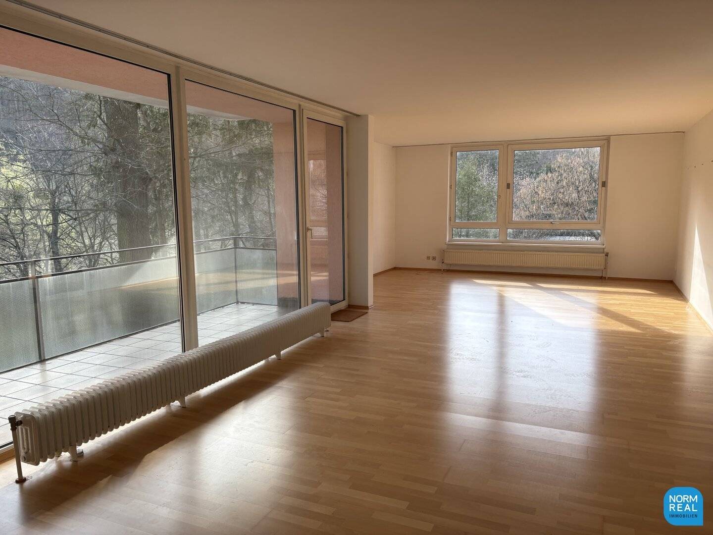 Terrace apartment at Pötzleinsdorfer Park