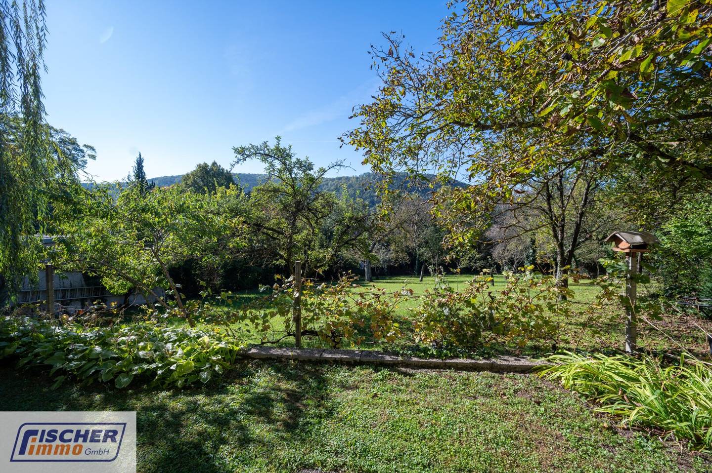 Family house in need of renovation with large plot on south-facing slope