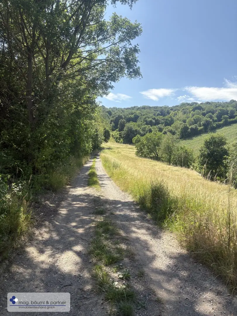 Grassland with access and view