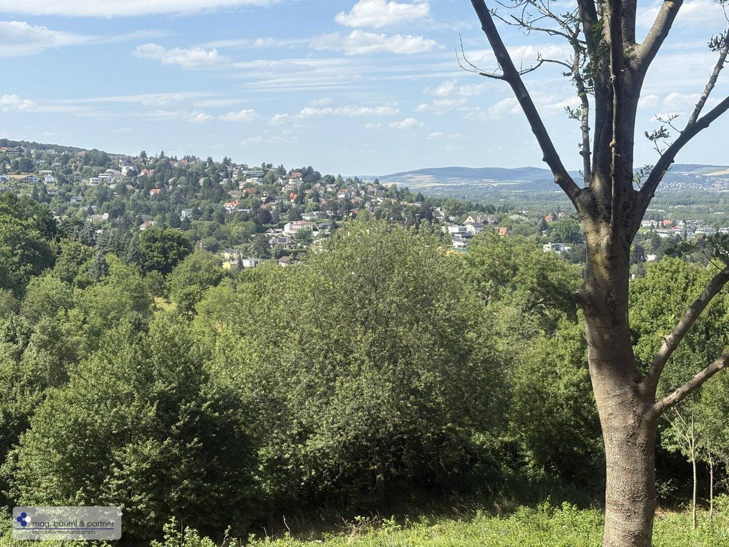 Grünland  mit Zufahrt und  Aussicht