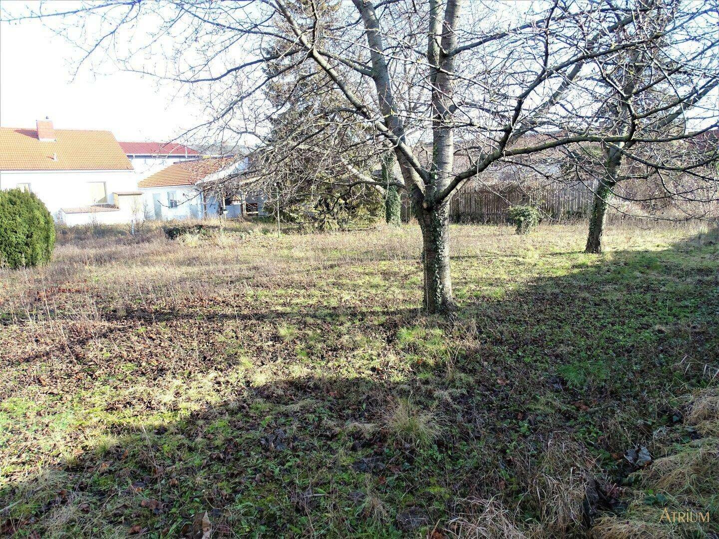 Großes Baugrundstück mit Altbestand in Mannswörth - AUCH FÜR BAUTRÄGER GEEIGNET! (2.230m²)..
